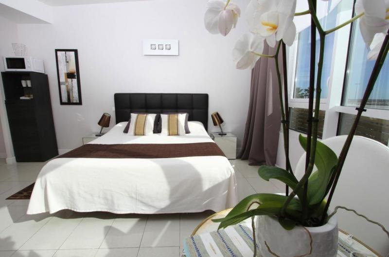Bleu Mer Duplex & Suites Saint-Cyprien  Εξωτερικό φωτογραφία
