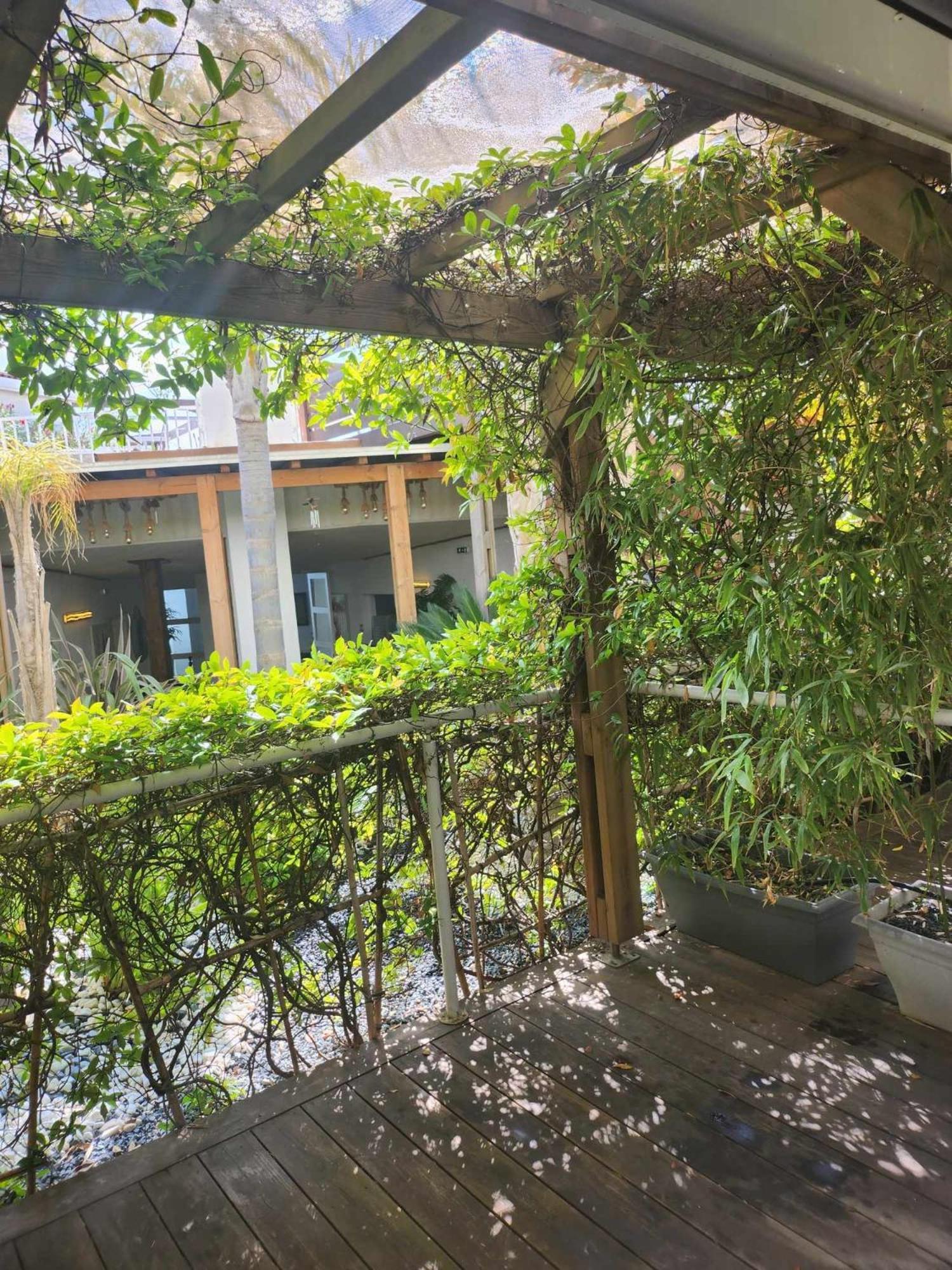 Bleu Mer Duplex & Suites Saint-Cyprien  Εξωτερικό φωτογραφία
